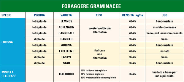 tabella-foraggere-graminacee